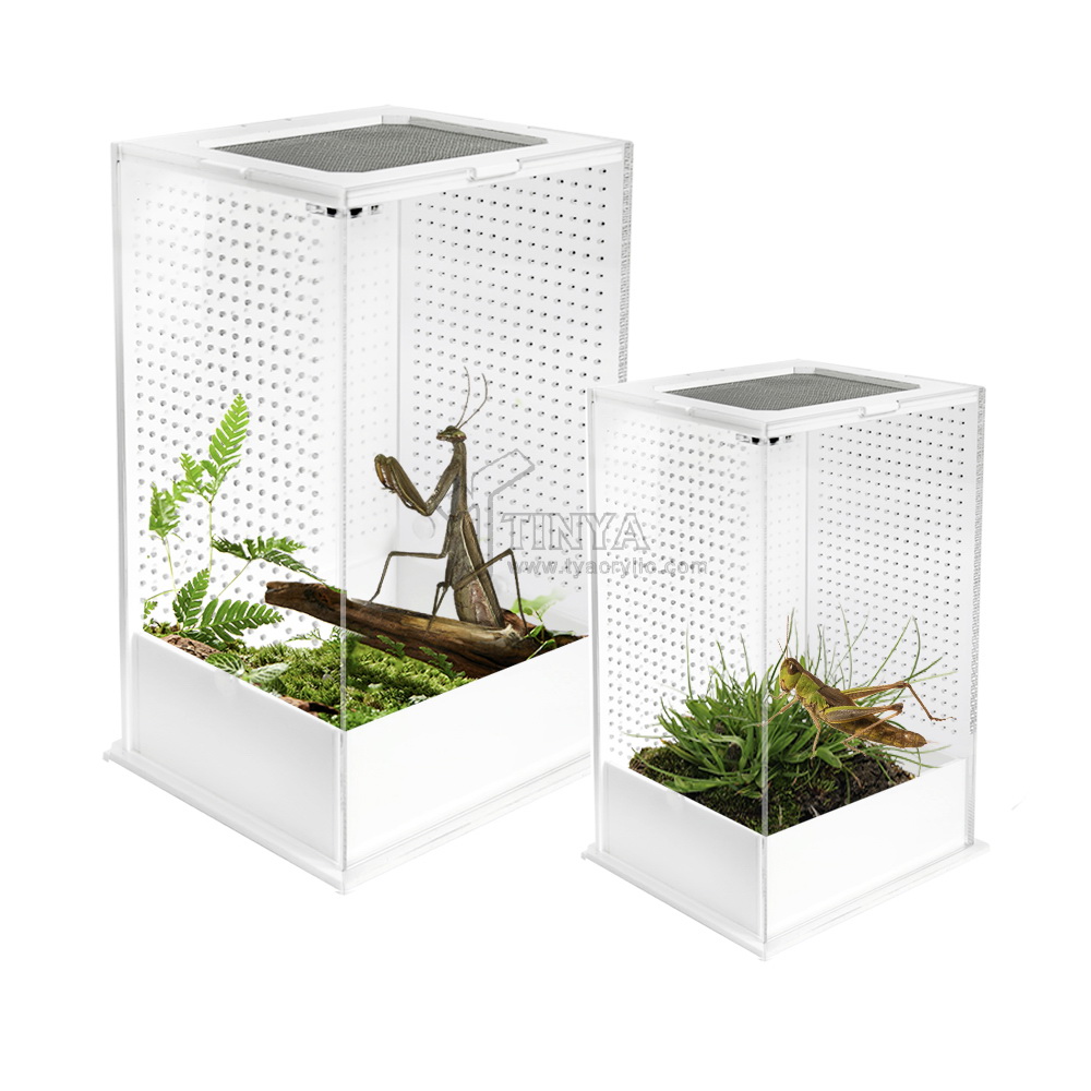 亞克力方形透明寵物飼養盒創意簡約蘆丁雞烏龜爬蟲類亞克力盒